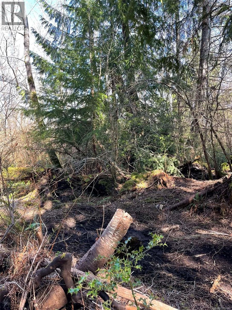 Lot I Newcastle Rd, Fanny Bay, British Columbia  V0R 1W0 - Photo 3 - 1032242