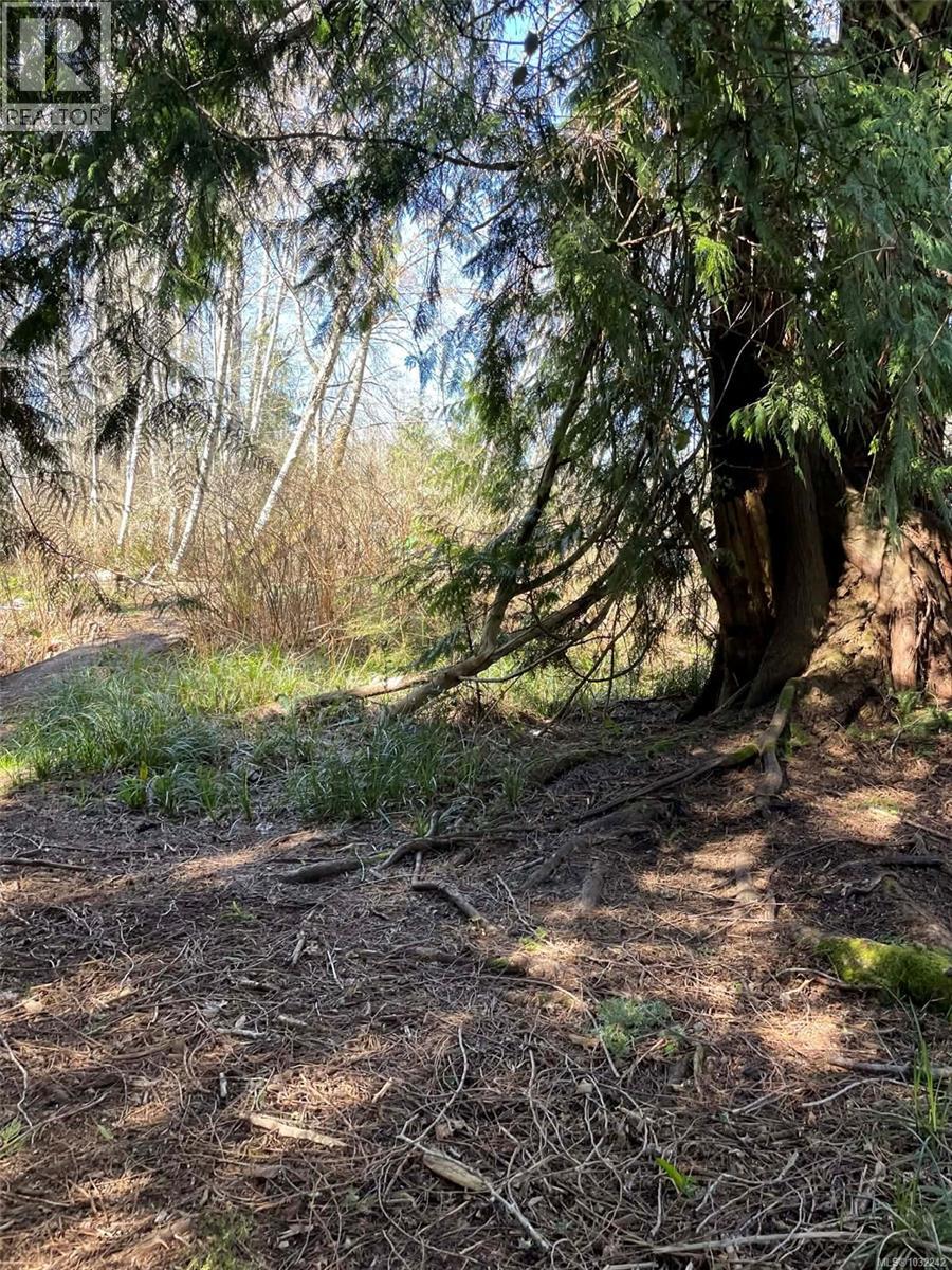 Lot I Newcastle Rd, Fanny Bay, British Columbia  V0R 1W0 - Photo 4 - 1032242