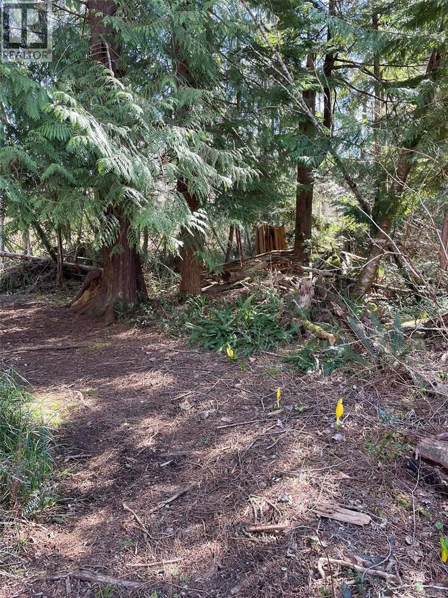 Lot I Newcastle Rd, Fanny Bay, British Columbia  V0R 1W0 - Photo 5 - 1032242