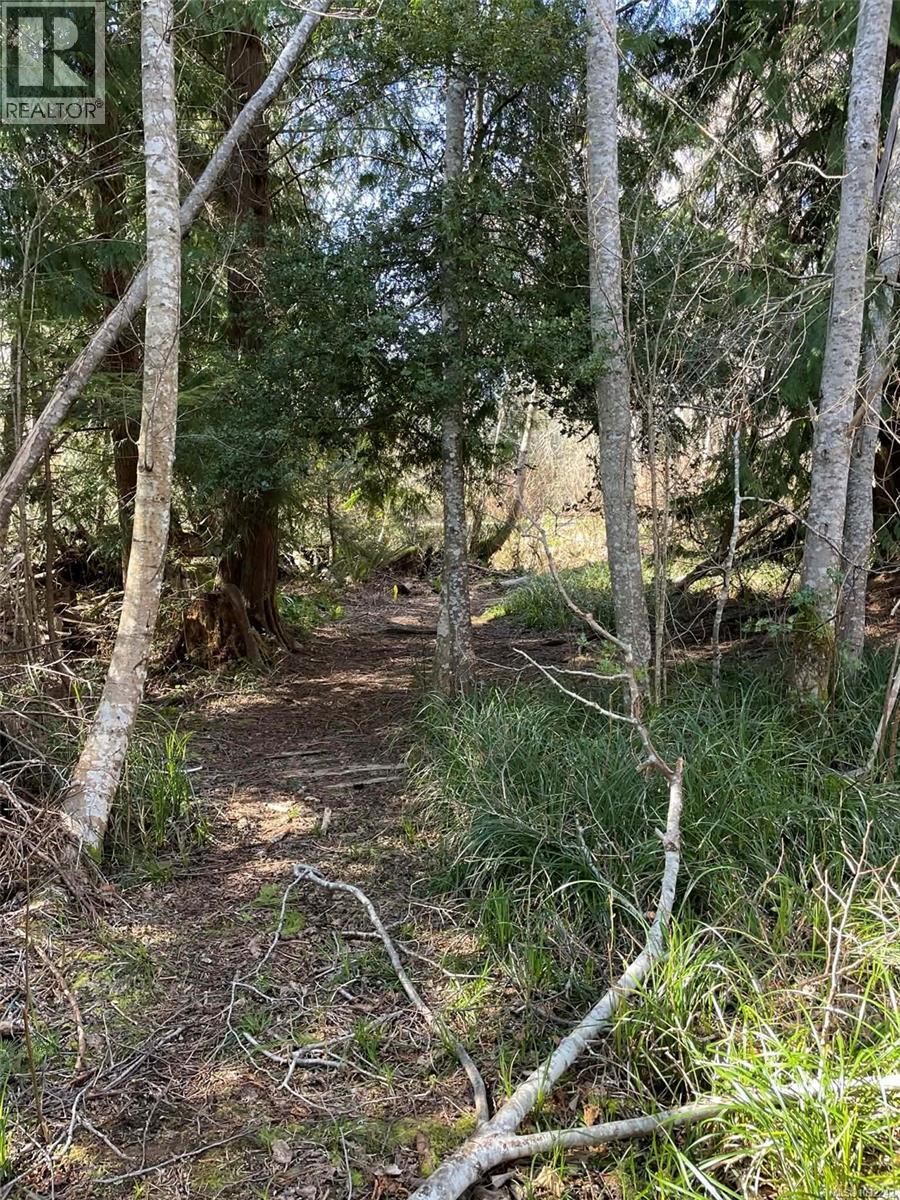 Lot I Newcastle Rd, Fanny Bay, British Columbia  V0R 1W0 - Photo 6 - 1032242