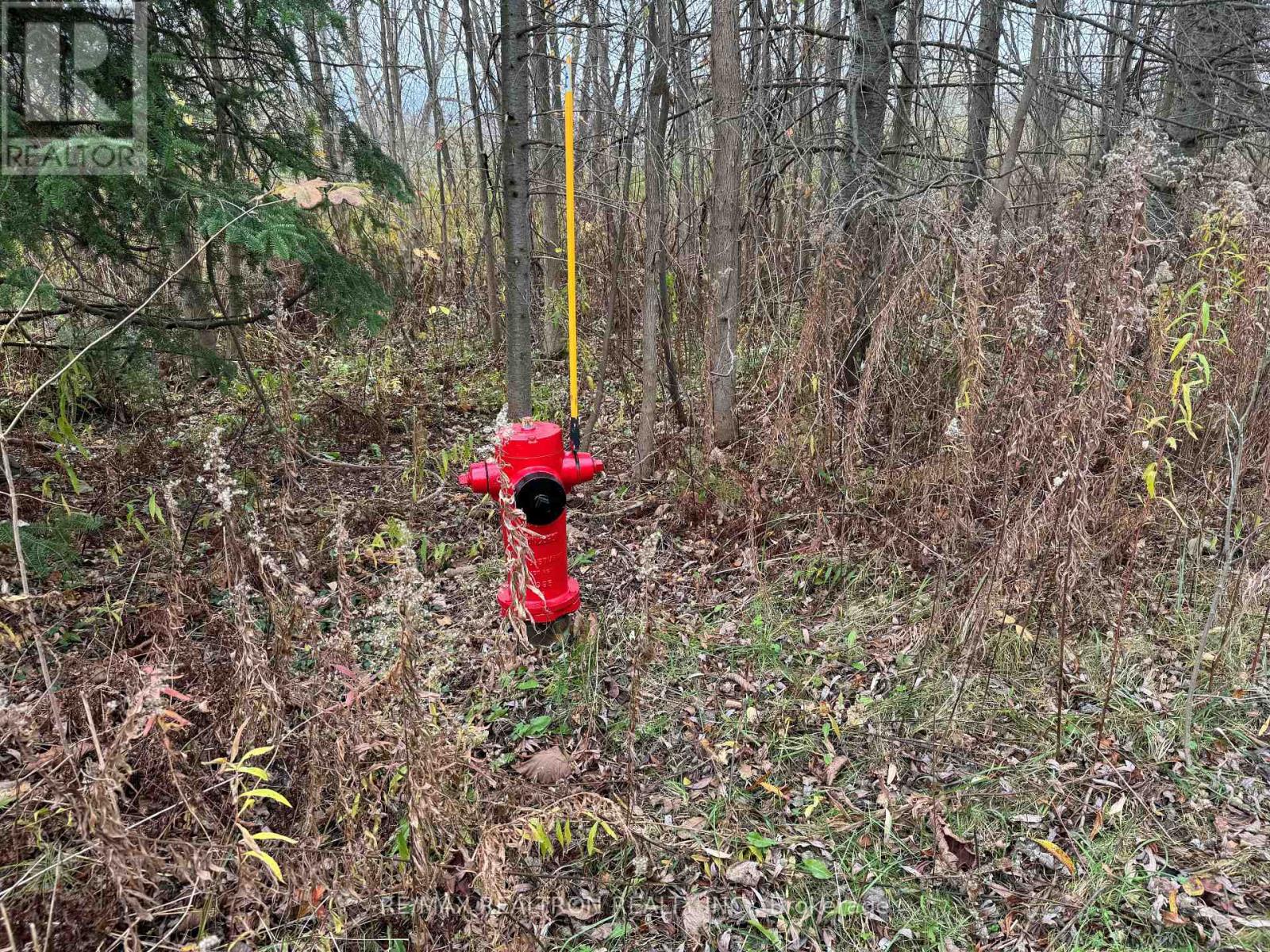 0 Taylorwoods Boulevard, Innisfil, Ontario  L9S 2E9 - Photo 1 - N10414555