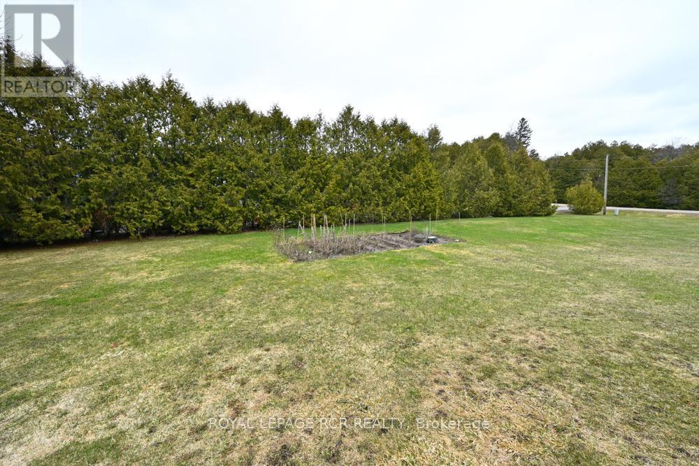 6 Margaret Avenue, Adjala-Tosorontio, Ontario  L0M 1J0 - Photo 28 - N12967756