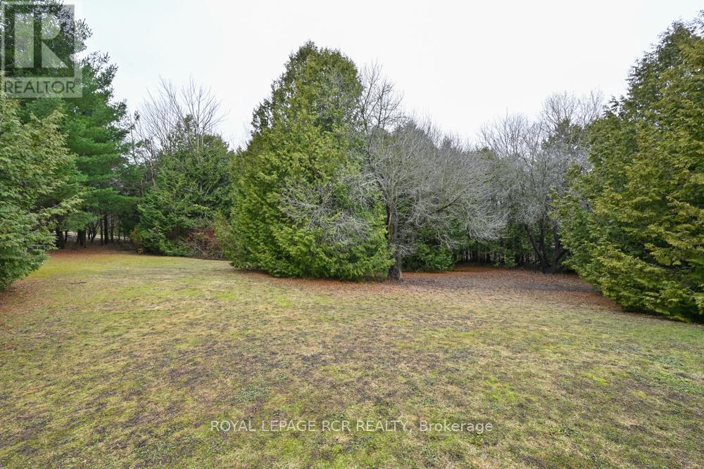 6 Margaret Avenue, Adjala-Tosorontio, Ontario  L0M 1J0 - Photo 29 - N12967756