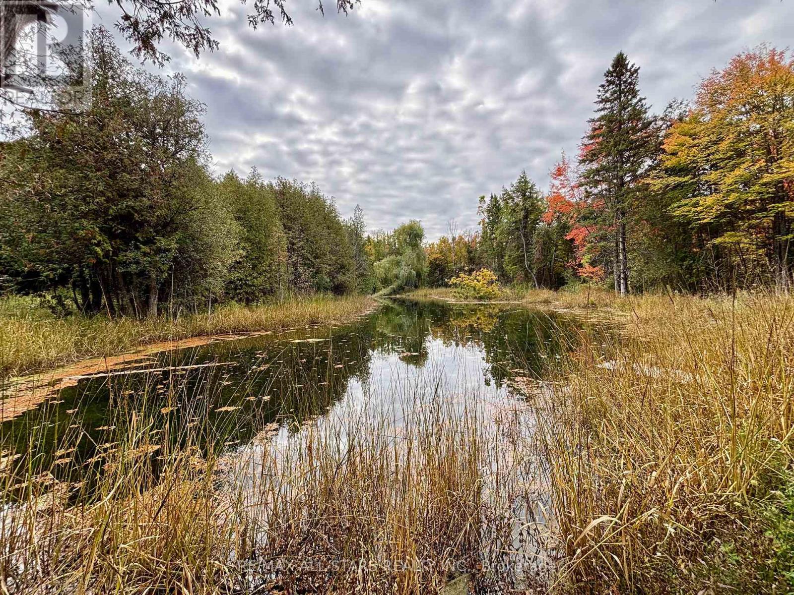 14200 Sideroad 18, Brock, Ontario  L0C 1H0 - Photo 12 - N13002852