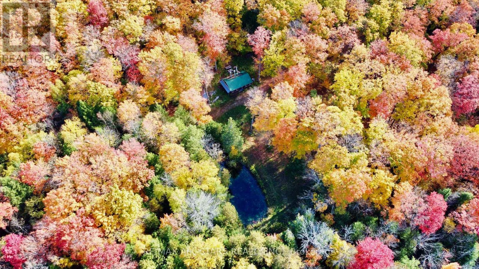 14200 Sideroad 18, Brock, Ontario  L0C 1H0 - Photo 15 - N13002852