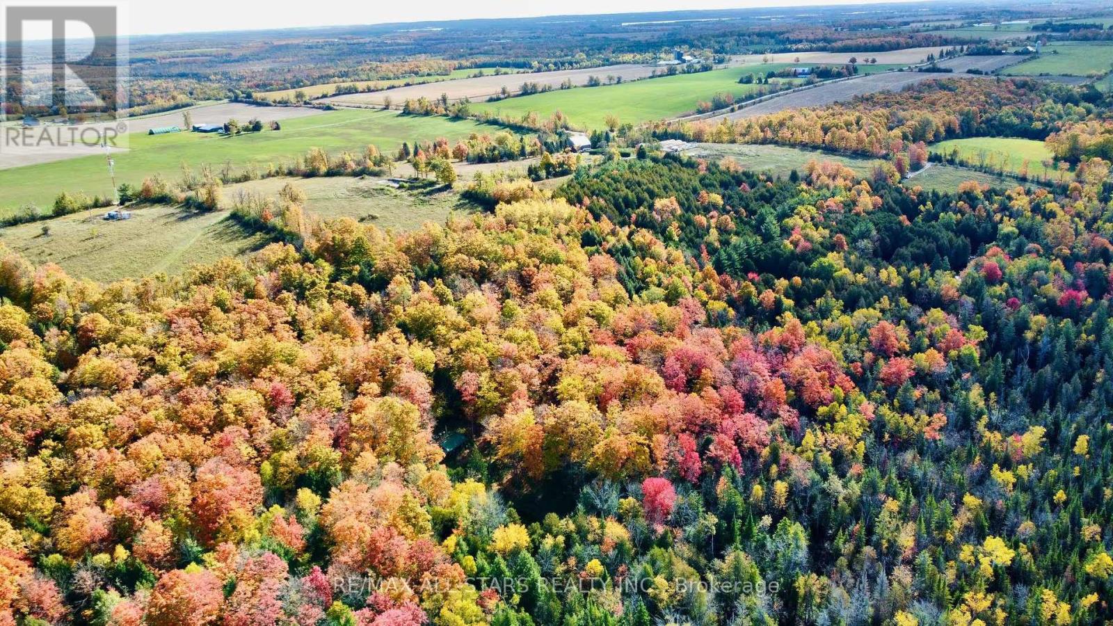 14200 Sideroad 18, Brock, Ontario  L0C 1H0 - Photo 16 - N13002852