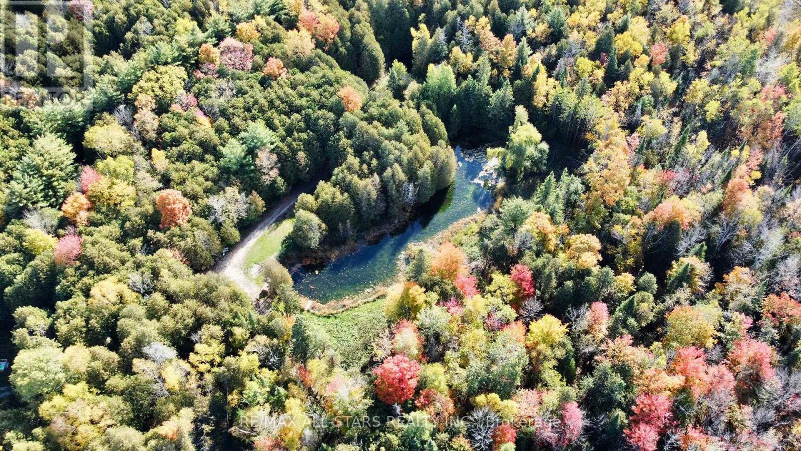 14200 Sideroad 18, Brock, Ontario  L0C 1H0 - Photo 17 - N13002852