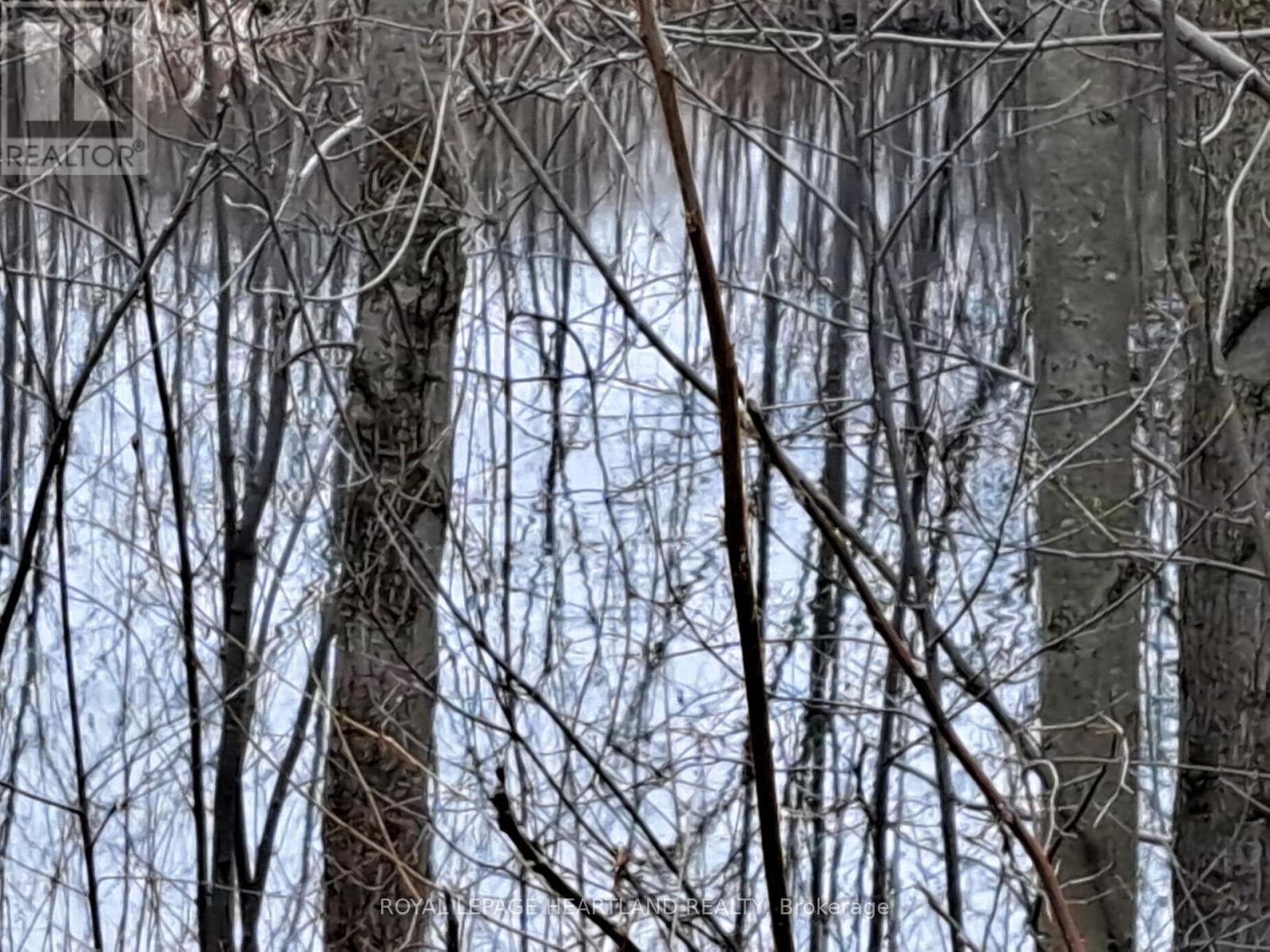 39132 Mount Carmel Drive, South Huron, Ontario  N0M 1M0 - Photo 34 - X13003194