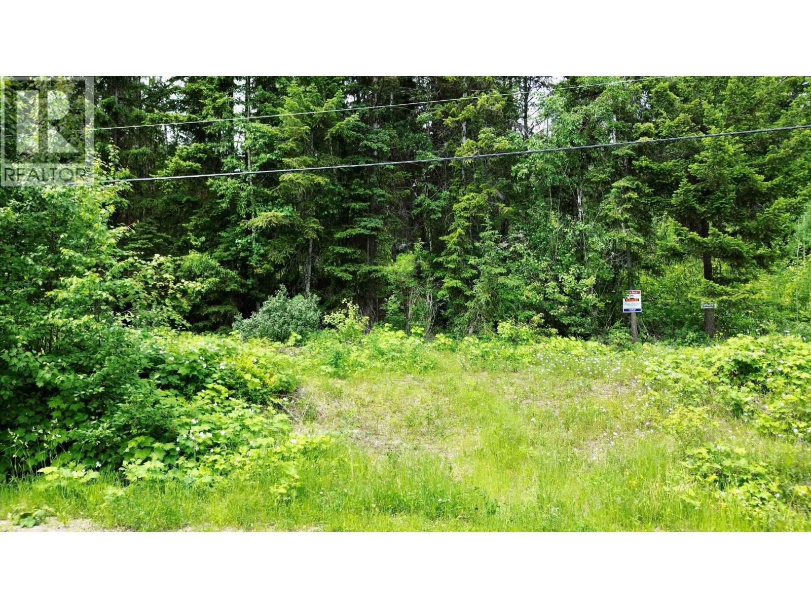 Lot A Canim-Hendrix Lake Road, Canim Lake, British Columbia  V0K 1J0 - Photo 2 - R3110835