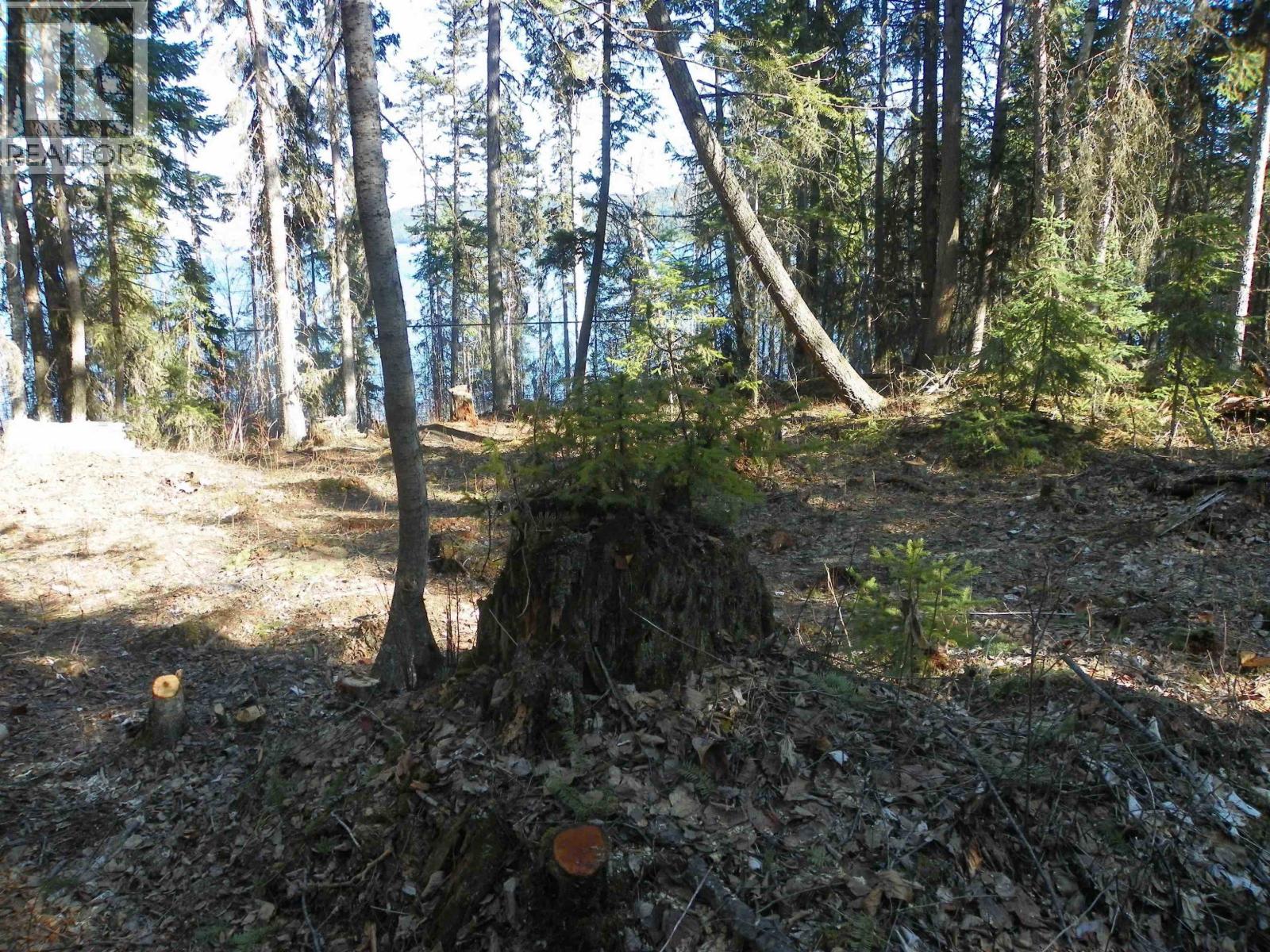 Lot A Canim-Hendrix Lake Road, Canim Lake, British Columbia  V0K 1J0 - Photo 17 - R3110835