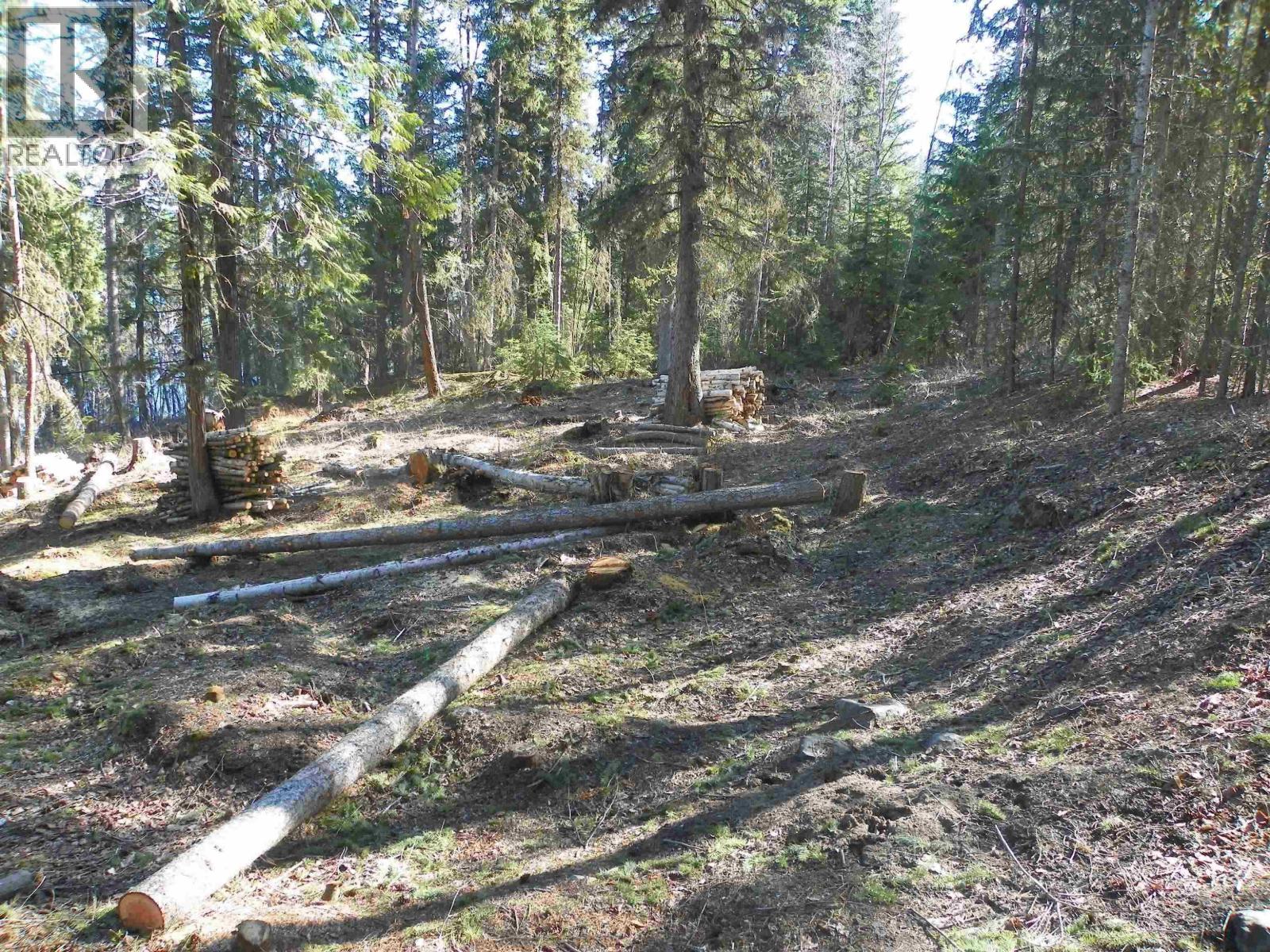 Lot A Canim-Hendrix Lake Road, Canim Lake, British Columbia  V0K 1J0 - Photo 23 - R3110835