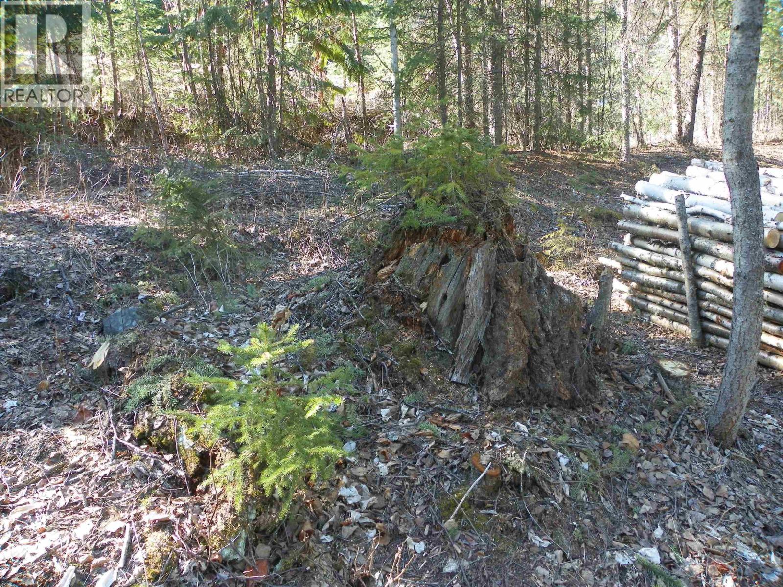 Lot A Canim-Hendrix Lake Road, Canim Lake, British Columbia  V0K 1J0 - Photo 14 - R3110835