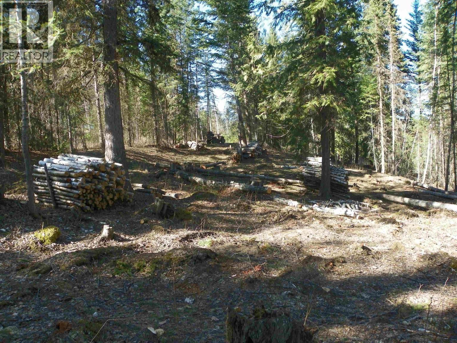 Lot A Canim-Hendrix Lake Road, Canim Lake, British Columbia  V0K 1J0 - Photo 22 - R3110835
