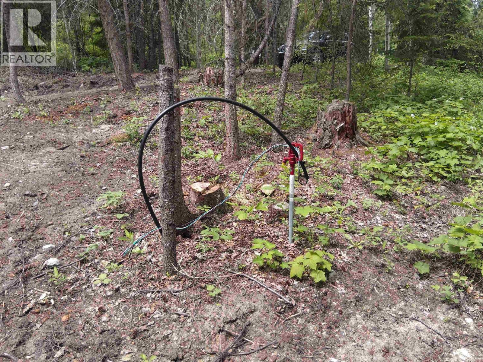 Lot A Canim-Hendrix Lake Road, Canim Lake, British Columbia  V0K 1J0 - Photo 15 - R3110835