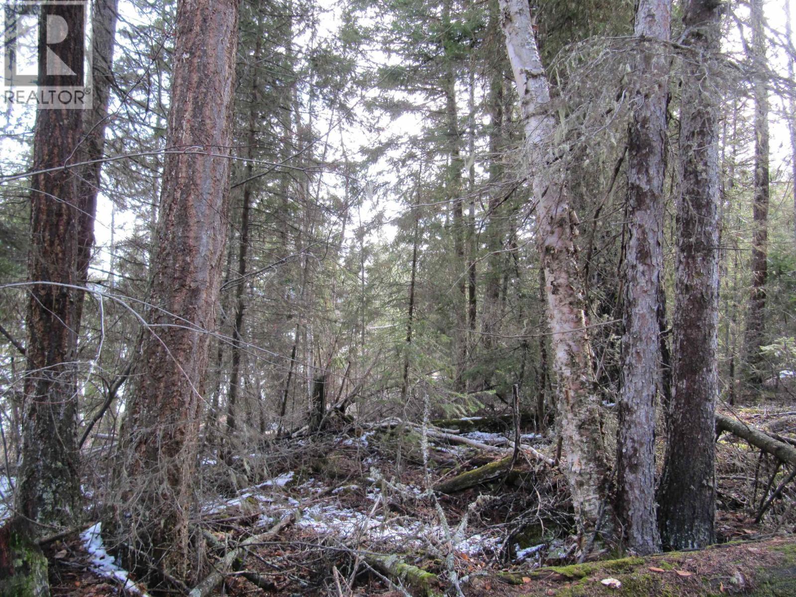 Lot A Canim-Hendrix Lake Road, Canim Lake, British Columbia  V0K 1J0 - Photo 24 - R3110835