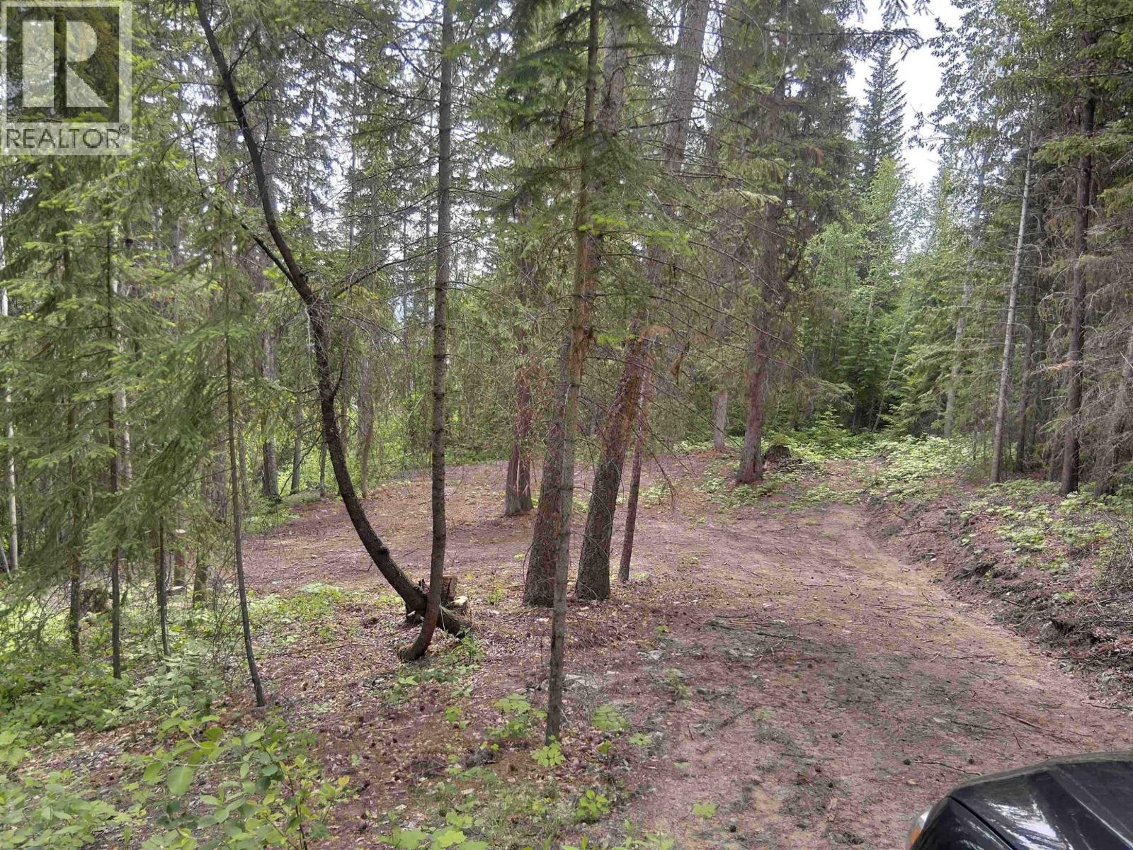 Lot A Canim-Hendrix Lake Road, Canim Lake, British Columbia  V0K 1J0 - Photo 26 - R3110835