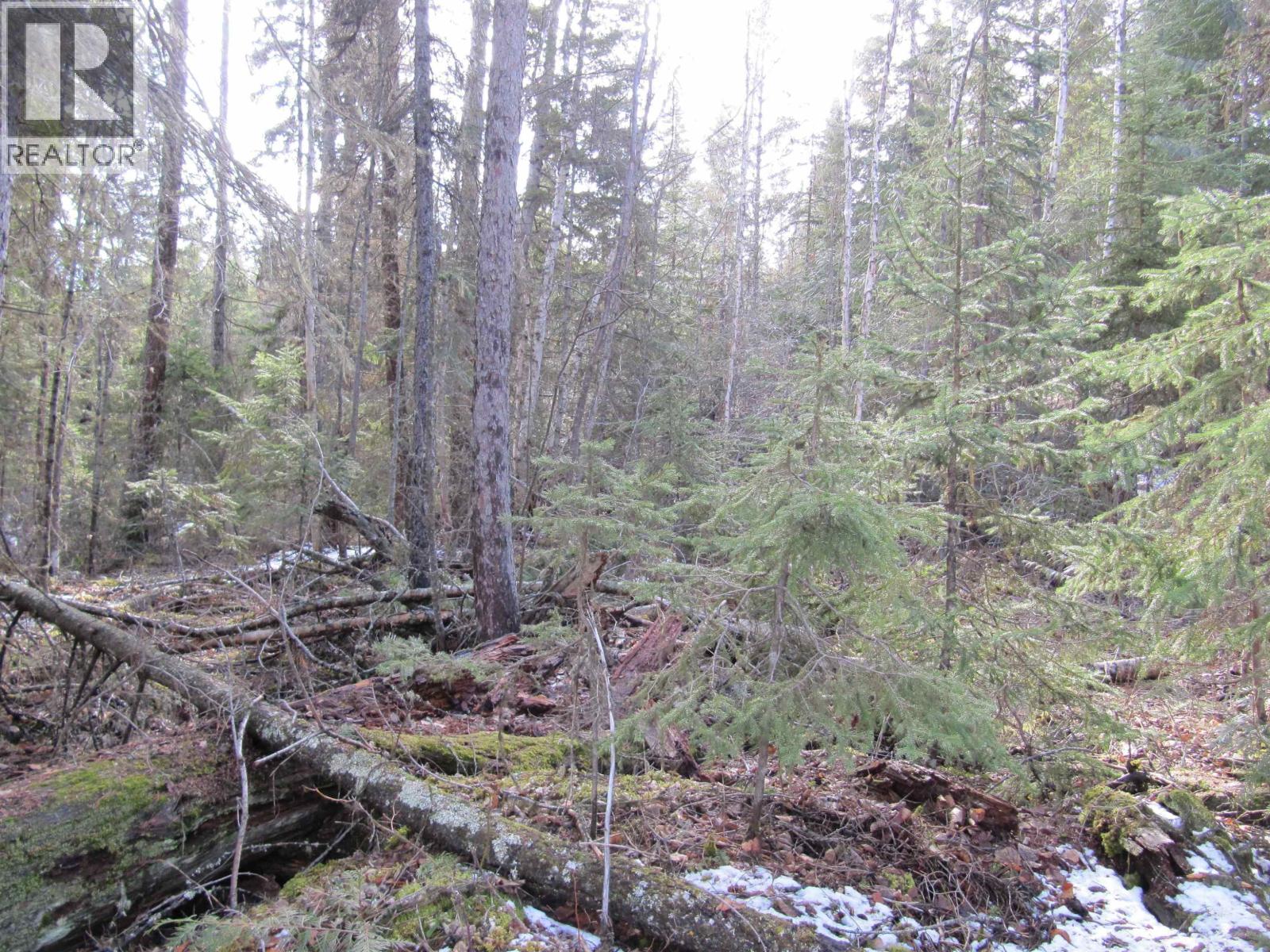 Lot A Canim-Hendrix Lake Road, Canim Lake, British Columbia  V0K 1J0 - Photo 25 - R3110835