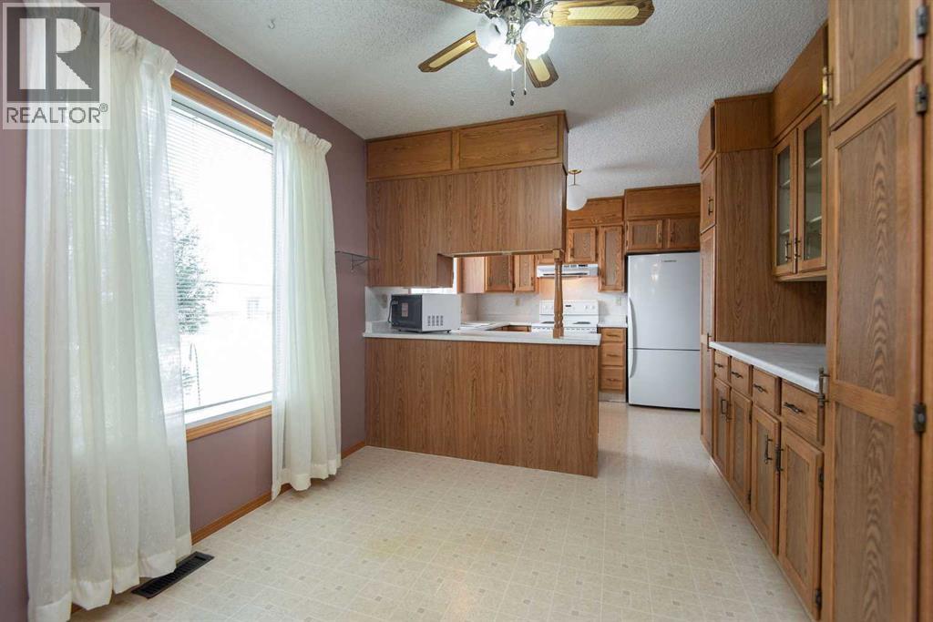 5236 55 Avenue, Eckville, Alberta  T0M 0X0 - Photo 5 - A2299901