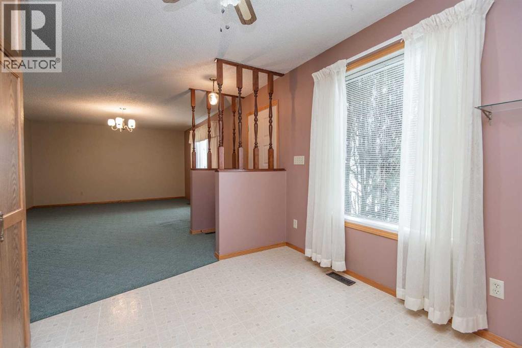 5236 55 Avenue, Eckville, Alberta  T0M 0X0 - Photo 11 - A2299901