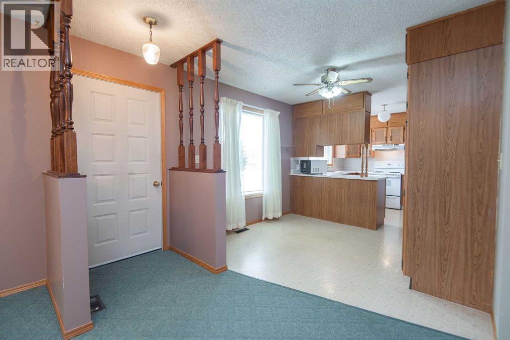 5236 55 Avenue, Eckville, Alberta  T0M 0X0 - Photo 4 - A2299901