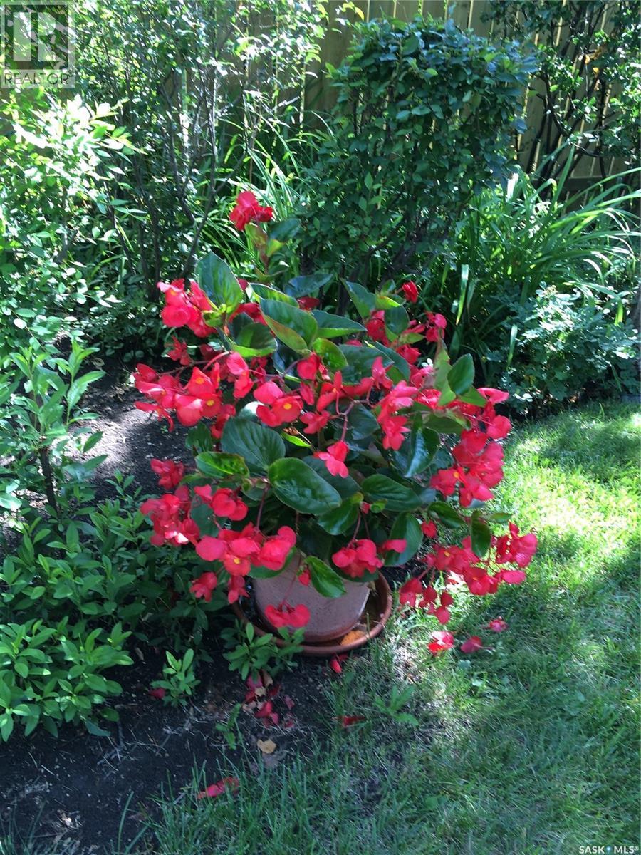 3817 Mccallum Avenue, Regina, Saskatchewan  S4S 0S8 - Photo 33 - SK032950