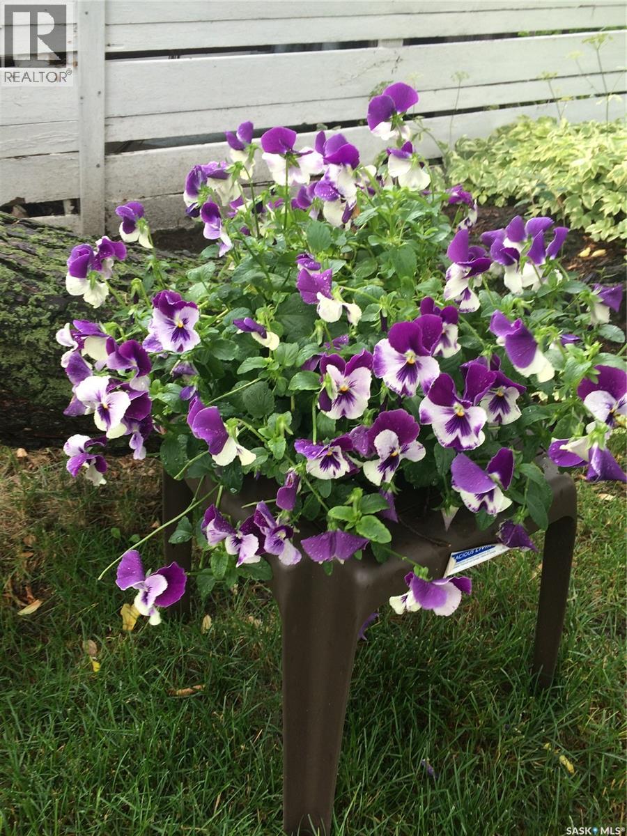 3817 Mccallum Avenue, Regina, Saskatchewan  S4S 0S8 - Photo 35 - SK032950