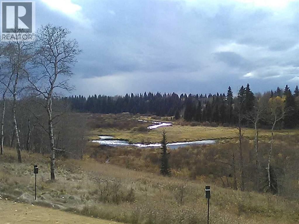 55001 Township Road 40-0, Rural Clearwater County, Alberta  T4T 2A1 - Photo 6 - A2300535