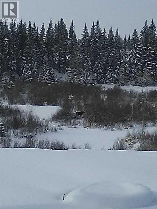 55001 Township Road 40-0, Rural Clearwater County, Alberta  T4T 2A1 - Photo 10 - A2300535