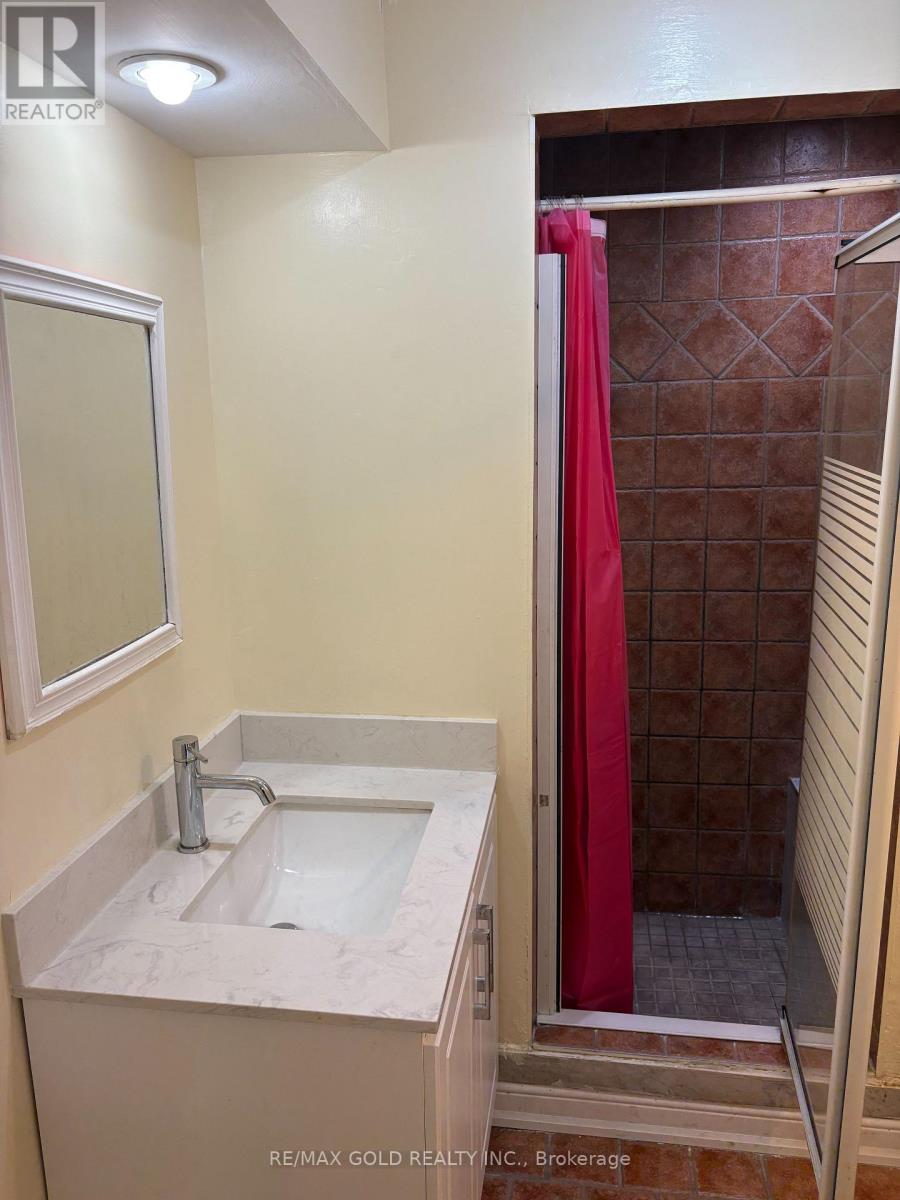 Basement - 27 Fairlight Street, Brampton, Ontario  L6Z 3W2 - Photo 5 - W12841238