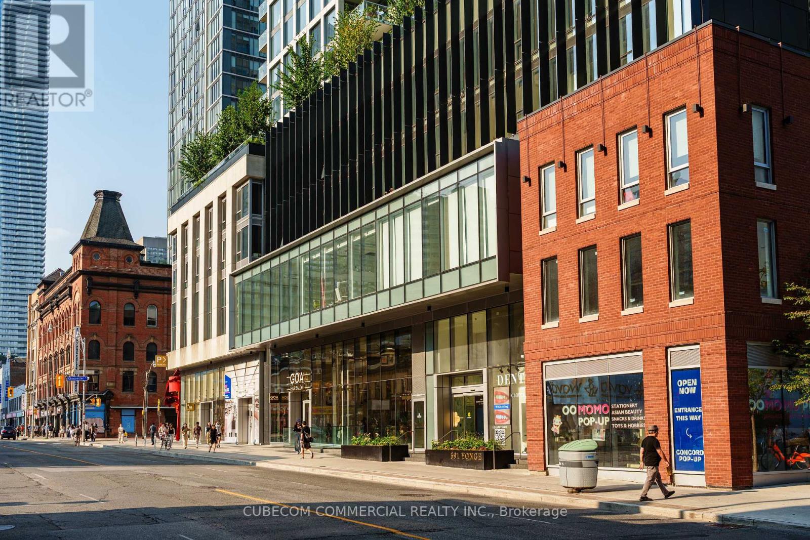 209 - 591 YONGE STREET, Toronto, Ontario