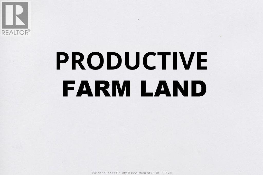 1341 County Rd 31, Lakeshore, Ontario  N0R 1S0 - Photo 1 - 26008242