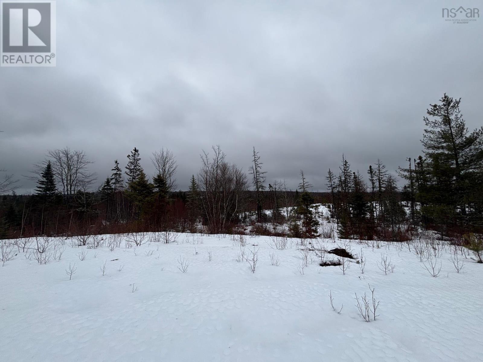826 Boars Back Road Road, Pettigrew Settlement, Nova Scotia  B0M 1W0 - Photo 21 - 202607516