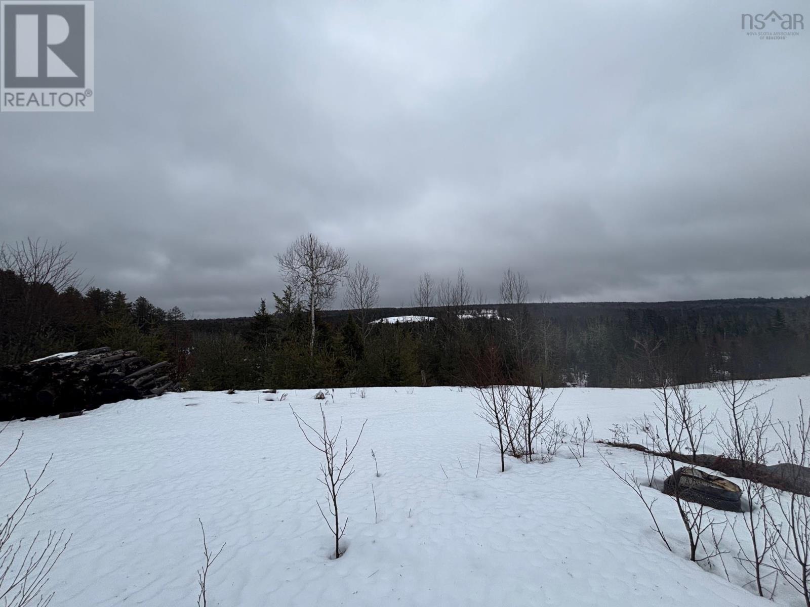 826 Boars Back Road Road, Pettigrew Settlement, Nova Scotia  B0M 1W0 - Photo 30 - 202607516