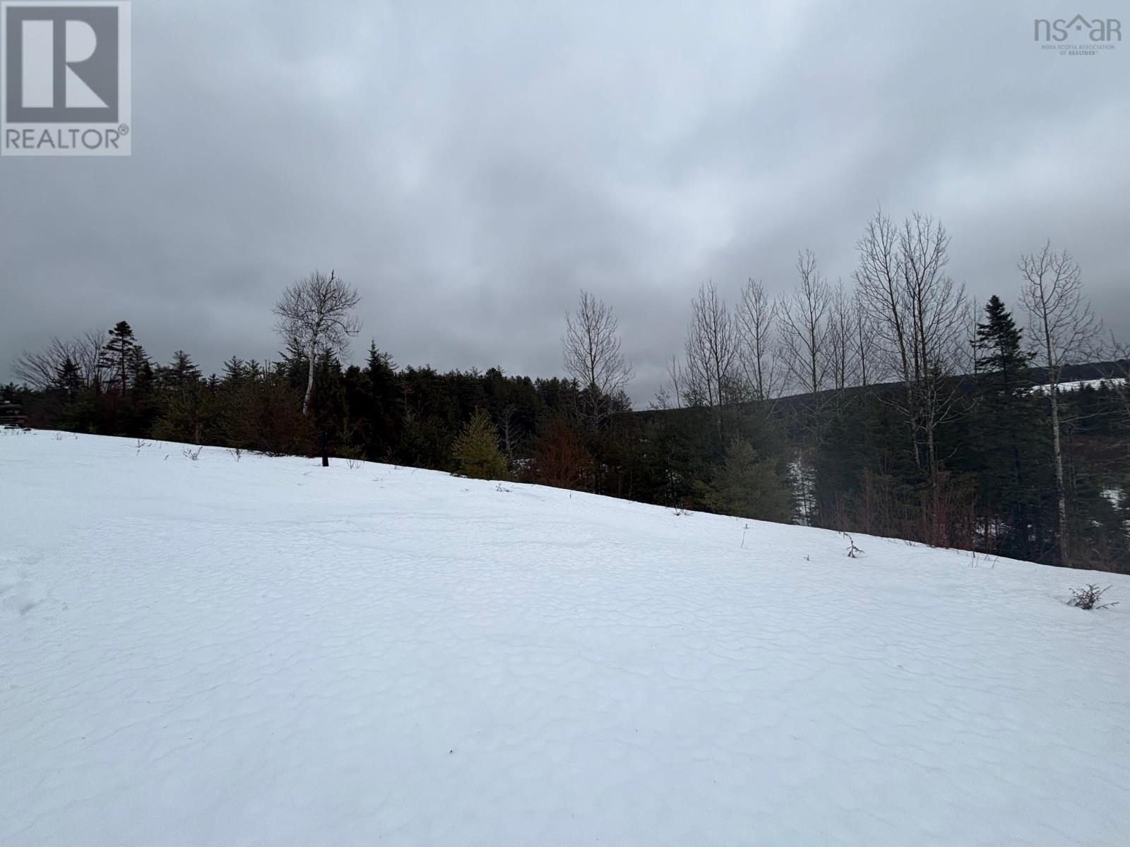 826 Boars Back Road Road, Pettigrew Settlement, Nova Scotia  B0M 1W0 - Photo 34 - 202607516