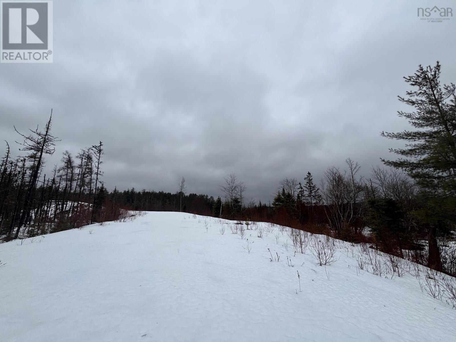 826 Boars Back Road Road, Pettigrew Settlement, Nova Scotia  B0M 1W0 - Photo 23 - 202607516