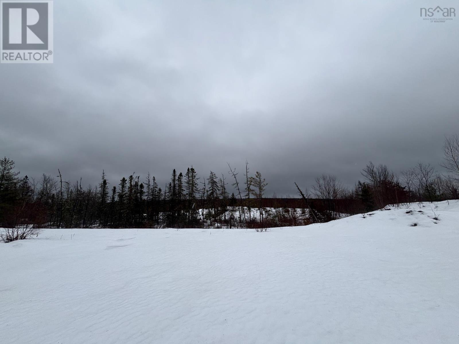 826 Boars Back Road Road, Pettigrew Settlement, Nova Scotia  B0M 1W0 - Photo 25 - 202607516