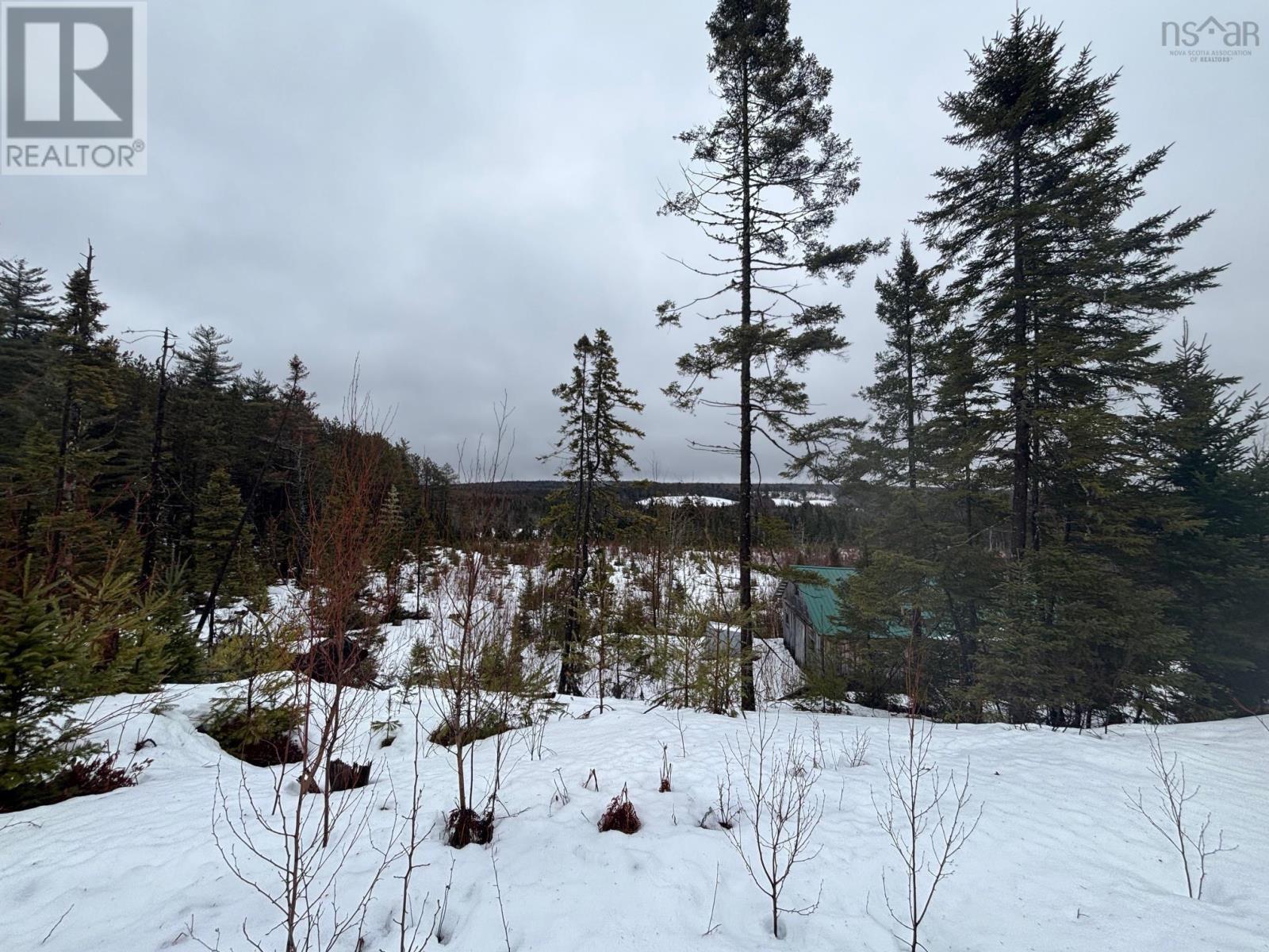 826 Boars Back Road Road, Pettigrew Settlement, Nova Scotia  B0M 1W0 - Photo 19 - 202607516