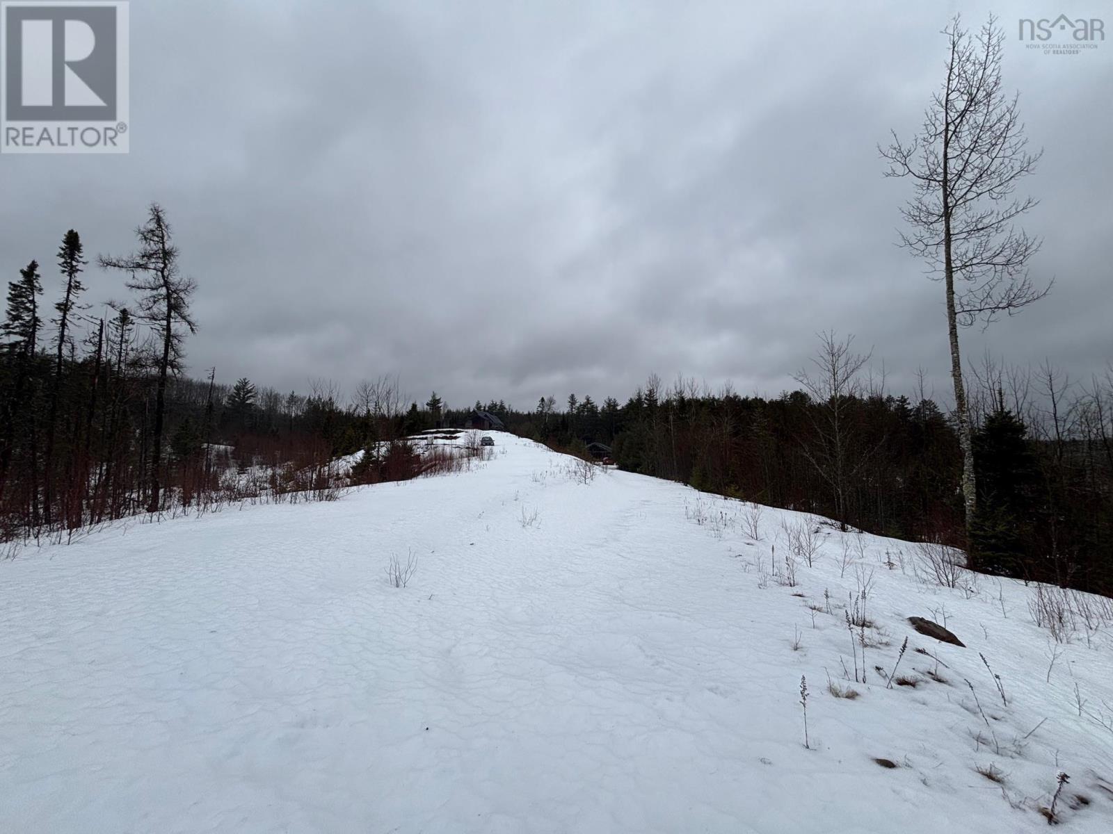 826 Boars Back Road Road, Pettigrew Settlement, Nova Scotia  B0M 1W0 - Photo 22 - 202607516