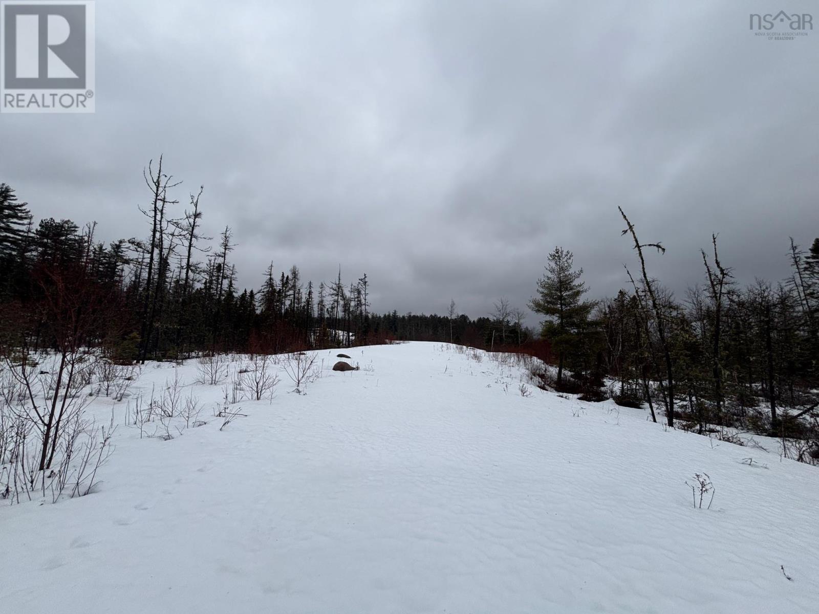 826 Boars Back Road Road, Pettigrew Settlement, Nova Scotia  B0M 1W0 - Photo 24 - 202607516
