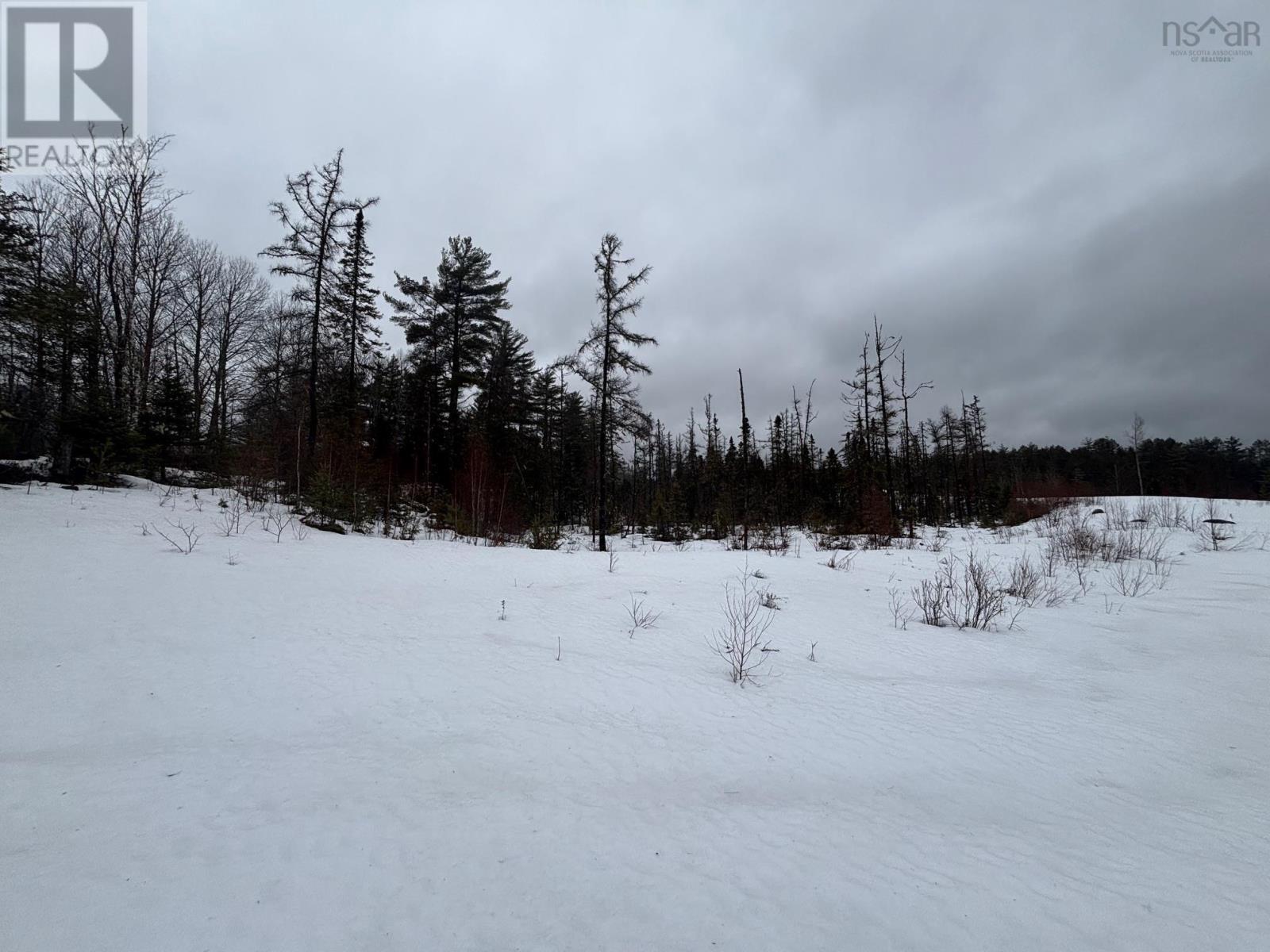 826 Boars Back Road Road, Pettigrew Settlement, Nova Scotia  B0M 1W0 - Photo 26 - 202607516