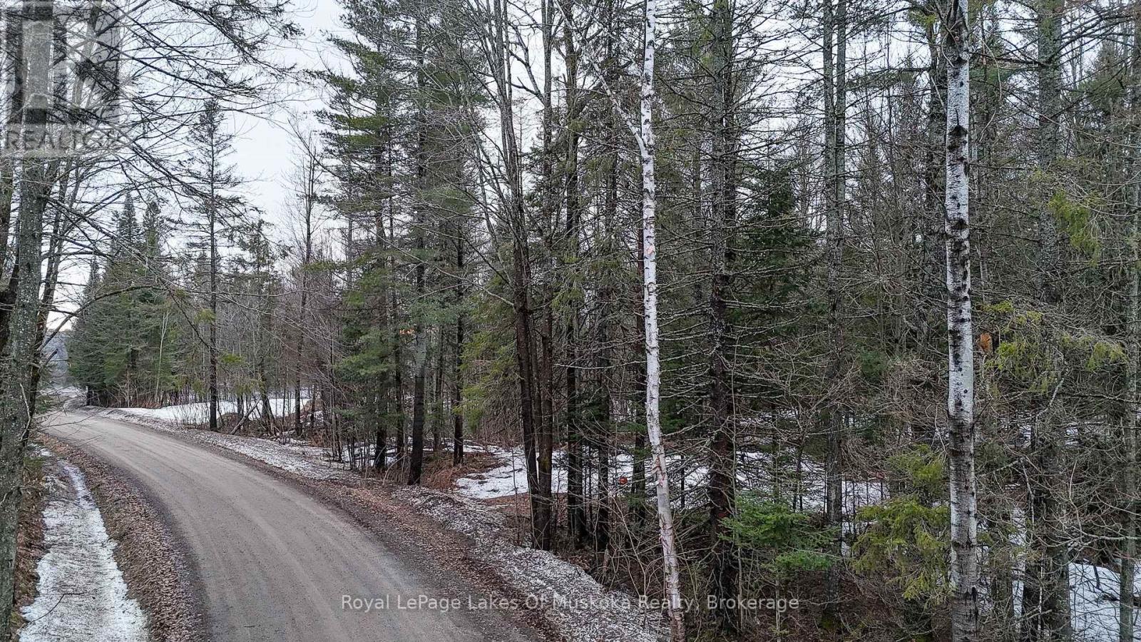 0 Robbs Rock Road, Armour, Ontario  P0A 1C0 - Photo 7 - X12996962