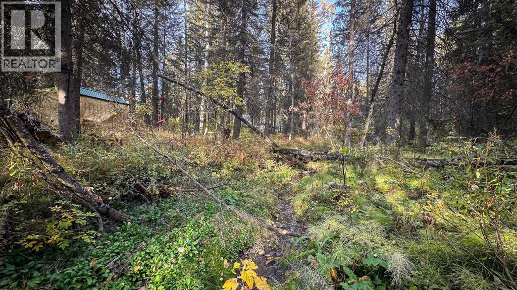 23, 5227 Township Road 320, Rural Mountain View County, Alberta  T0M 1X0 - Photo 37 - A2279672