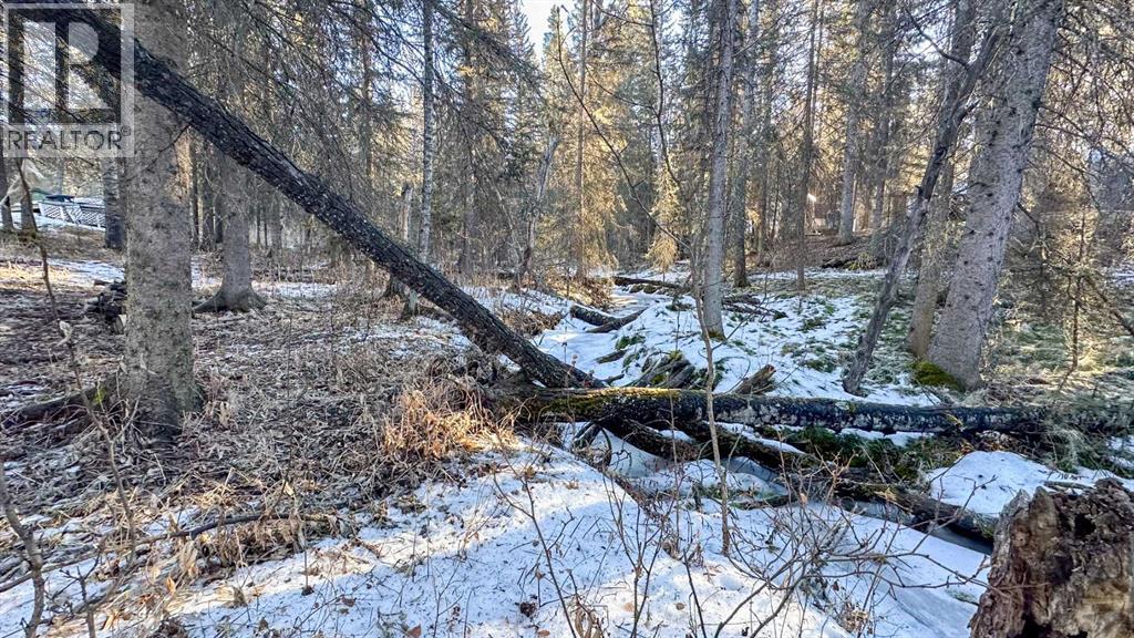 23, 5227 Township Road 320, Rural Mountain View County, Alberta  T0M 1X0 - Photo 27 - A2279672