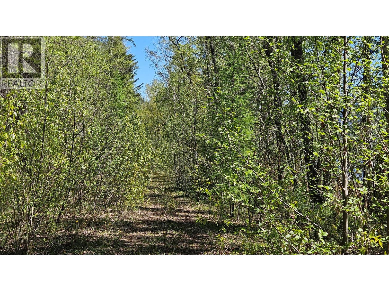 Lot E St. Mary Lake Road, Kimberley, British Columbia  V1A 3K5 - Photo 24 - 10382865