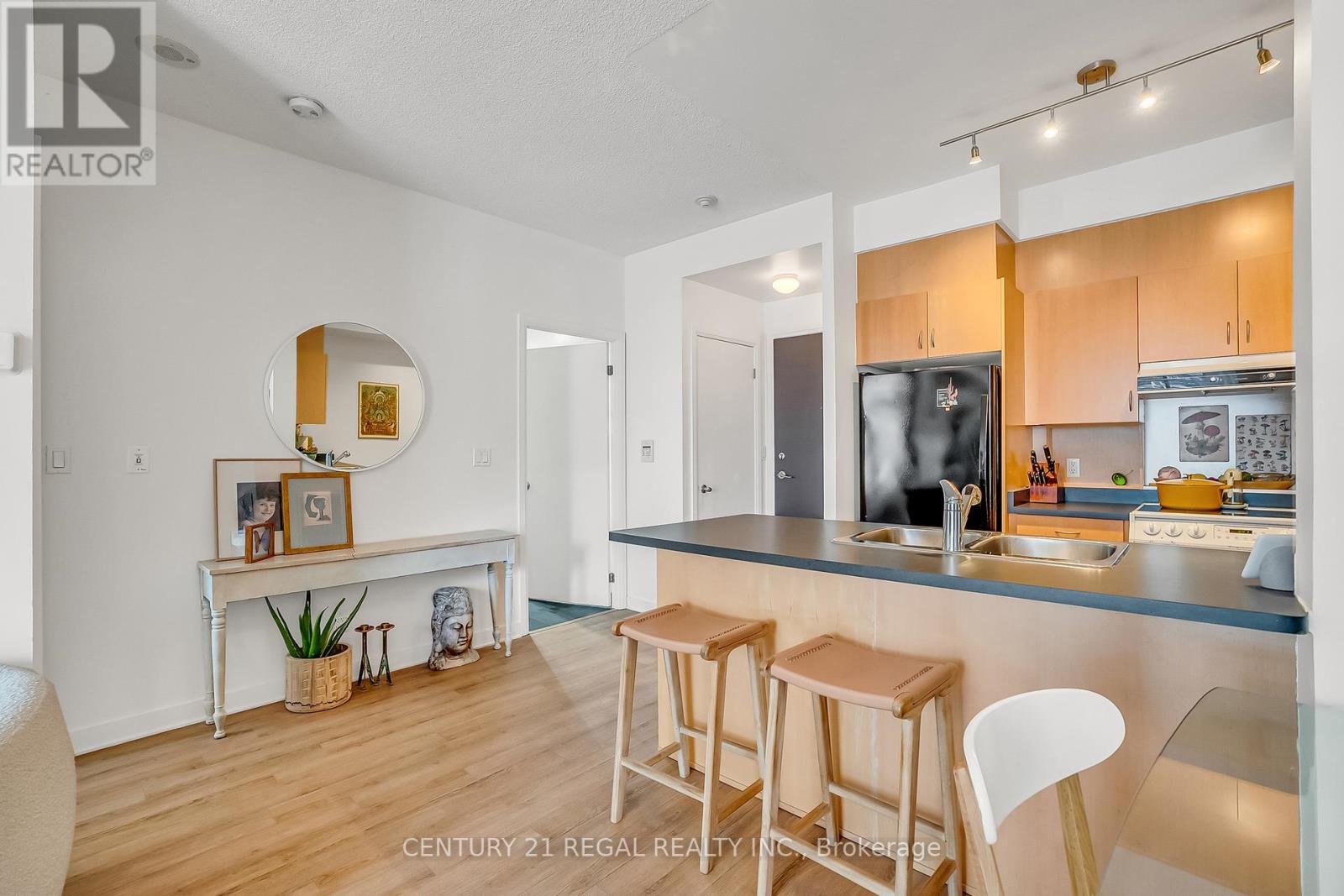 518 - 18 Beverley Street, Toronto, Ontario  M5T 3L2 - Photo 13 - C13003448