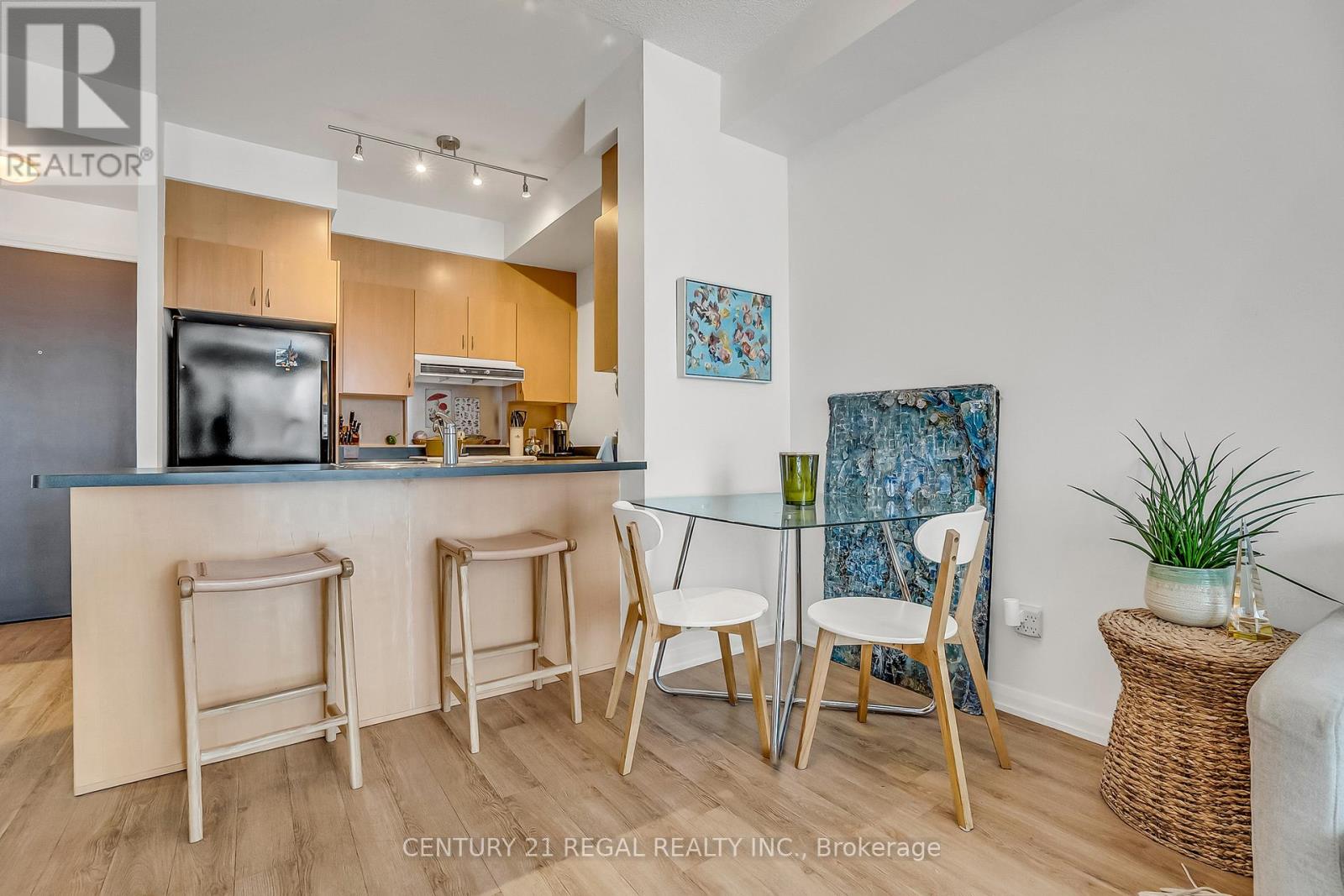 518 - 18 Beverley Street, Toronto, Ontario  M5T 3L2 - Photo 14 - C13003448