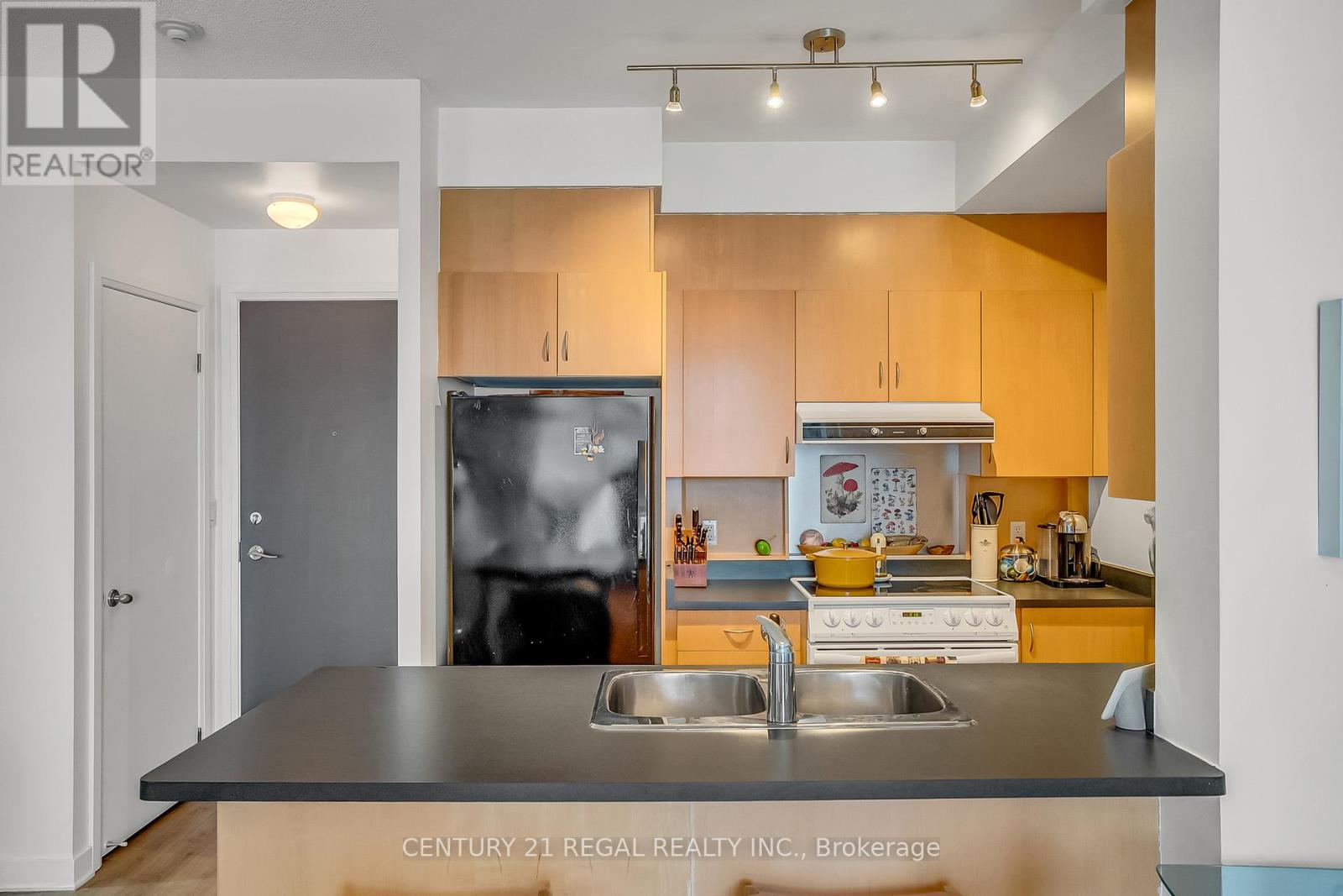 518 - 18 Beverley Street, Toronto, Ontario  M5T 3L2 - Photo 8 - C13003448