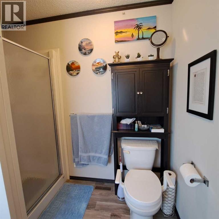 212 Engineer Avenue, Coaldale, Alberta  T1M 0A9 - Photo 25 - A2279515