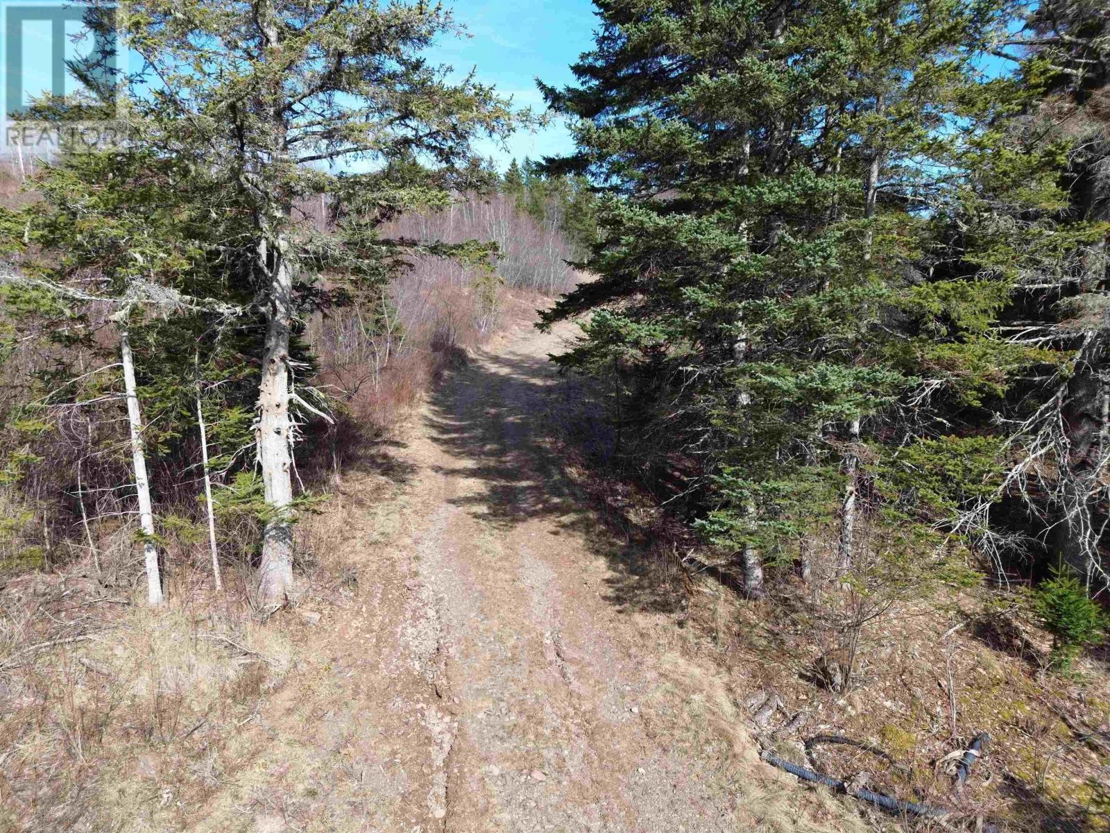 10036 Highway 2, Mapleton, Nova Scotia  B0M 1W0 - Photo 3 - 202607521