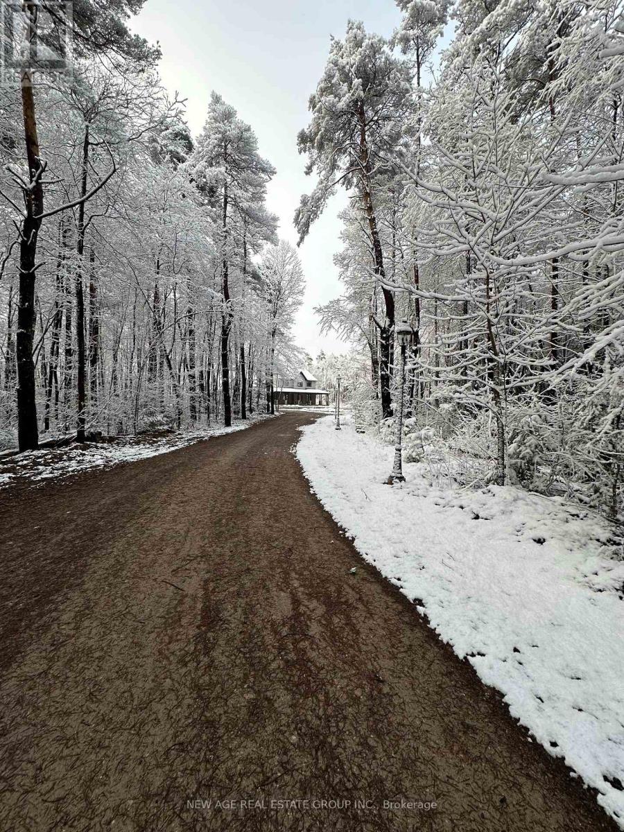 9031 Sideroad 17 Road, Erin, Ontario  N0B 1Z0 - Photo 12 - X13003524